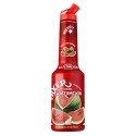 Pulpa Pepene Rosu Concentrat Piure Fructe Mixer 1 l
