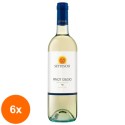Set 6 x Vin Alb Pinot Grigio Sicilia DOC Settesoli 750 ml