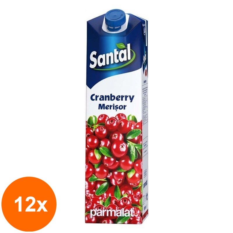 Set 12 x Suc de Merisor 15%, Santal Cranberry, 1 l