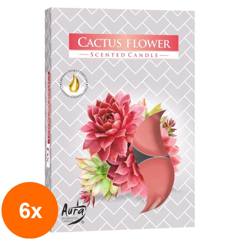 Set 6 x 6 Lumanari Pastila, 4 Ore, Floare de Cactus