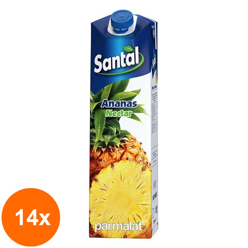 Set 14 x Nectar de Ananas 50%, Santal, 1 l