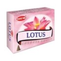 Conuri Parfumate, Lotus
