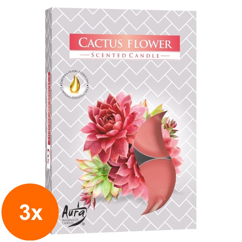 Set 3 x 6 Lumanari Pastila, 4 Ore, Floare de Cactus
