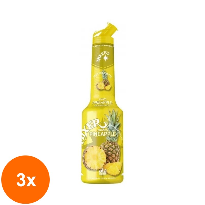 Set 3 x Pulpa Ananas 100% Concentrat Piure Fructe Mixer 1 l