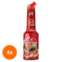 Set 4 x Pulpa Pepene Rosu Concentrat Piure Fructe Mixer 1 l