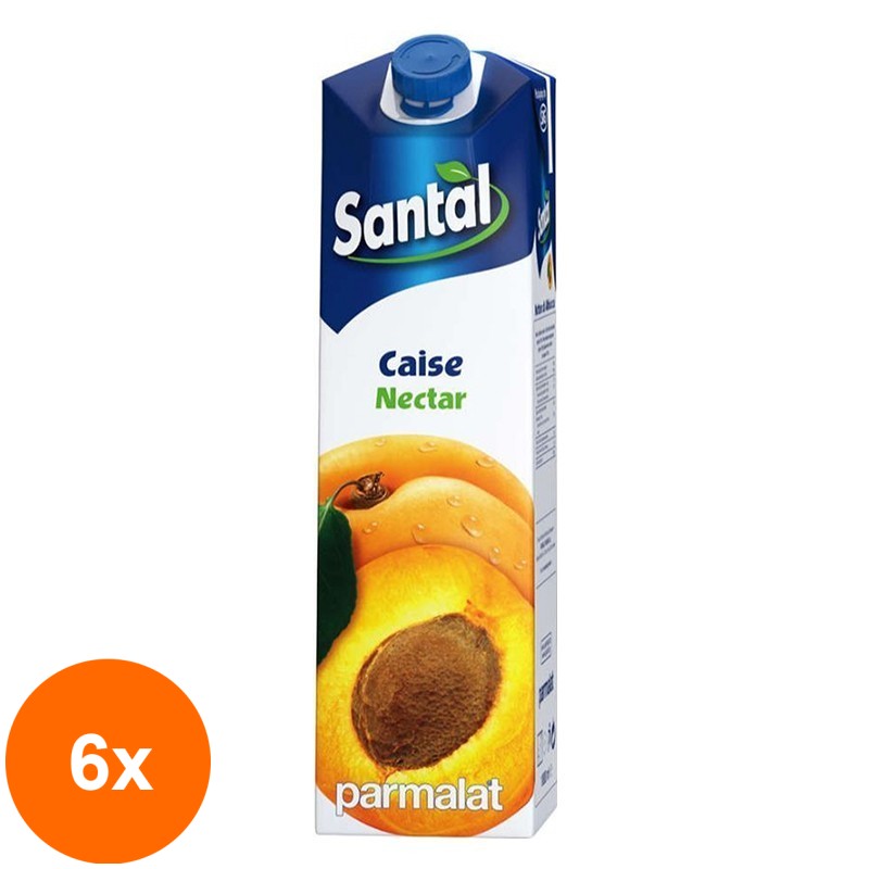 Set 6 x Nectar de Caise 40%, Santal, 1 l