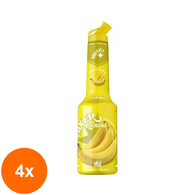 Set 4 x Pulpa Banana 100% Concentrat Piure Fructe Mixer 1 l