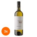 Set 3 x Vin Corcova Sauvignon Blanc, Alb Sec 0.75 l