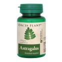 Astragalus, 60 Comprimate, Dacia Plant