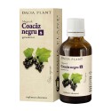 Coacaz Negru Muguri, 50 ml, Dacia Plant