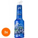 Set 3 x Pulpa Afine 100% Concentrat Piure Fructe Mixer, 1 l
