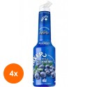 Set 4 x Pulpa Afine 100% Concentrat Piure Fructe Mixer, 1 l
