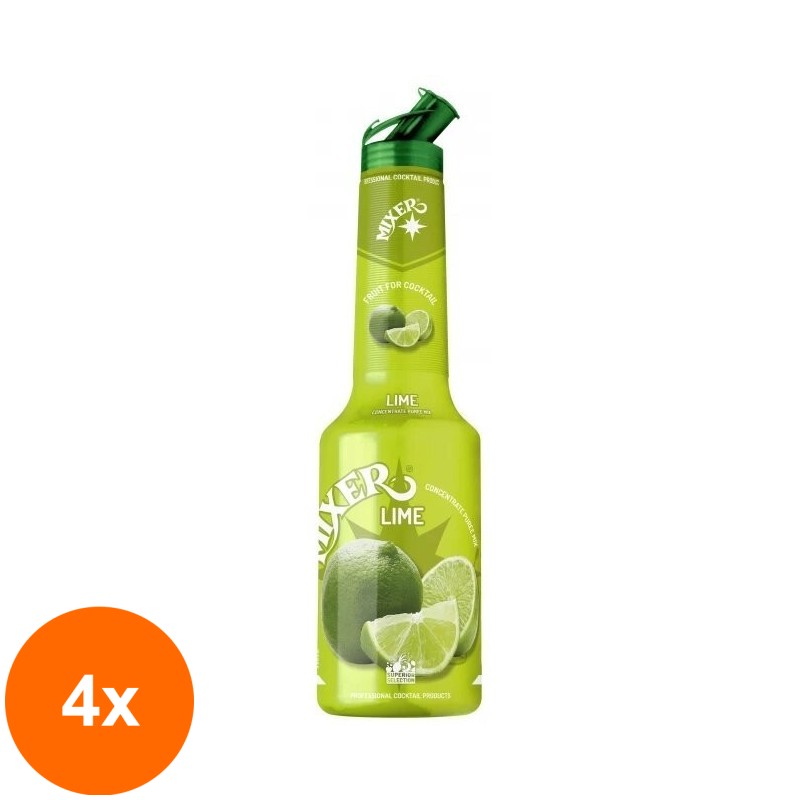 Set 4 x Pulpa Lamaie Verde 100% Concentrat Piure Fructe Mixer, 1 l