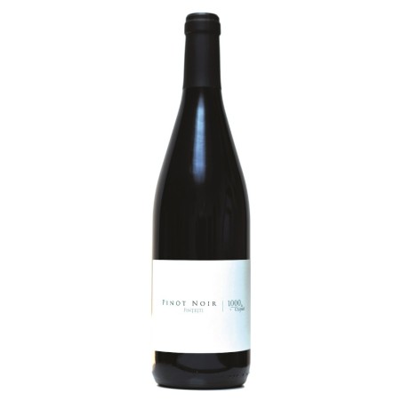 Vin Pinot Noir 1000 de Chipuri, Rosu Sec, 0.75 l...