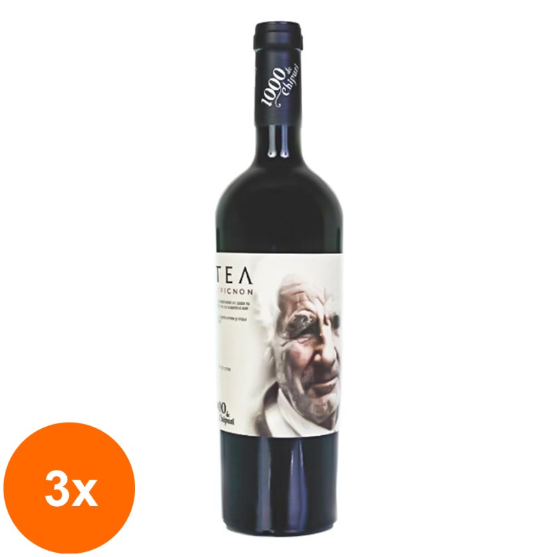 Set 3 x Vin Cantea 1000 de Chipuri, Cabernet Sauvignon Rosu Sec 0.75 l