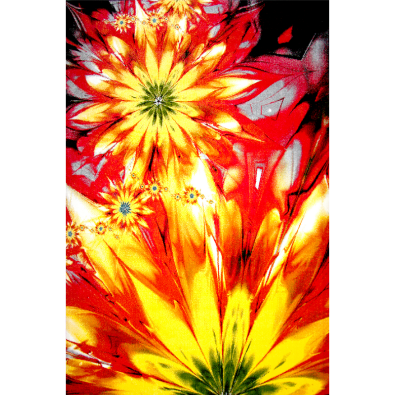 Covor Dreptunghiular, 160 x 230 cm, Multicolor, Flower, Kolibri 11012-150