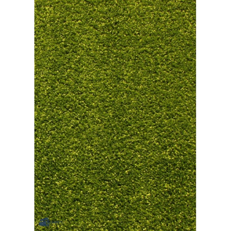 Covor Dreptunghiular, 80 x 150 cm, Verde, Kolibri 11000/130