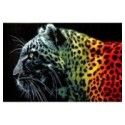 Covor Dreptunghiular, 80 x 150 cm, Multicolor, Model Black Leopard Lotos 11016