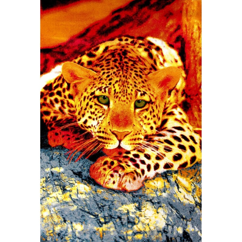 Covor Dreptunghiular, 120 x 170 cm, Multicolor, Kolibri Leopard 11123