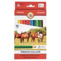 Creioane Colorate Triunghiulare Jumbo Koh-I-Noor Triocolor, 12 Culori