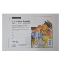 Carton Panzat Phoenix - 40 x 50 cm