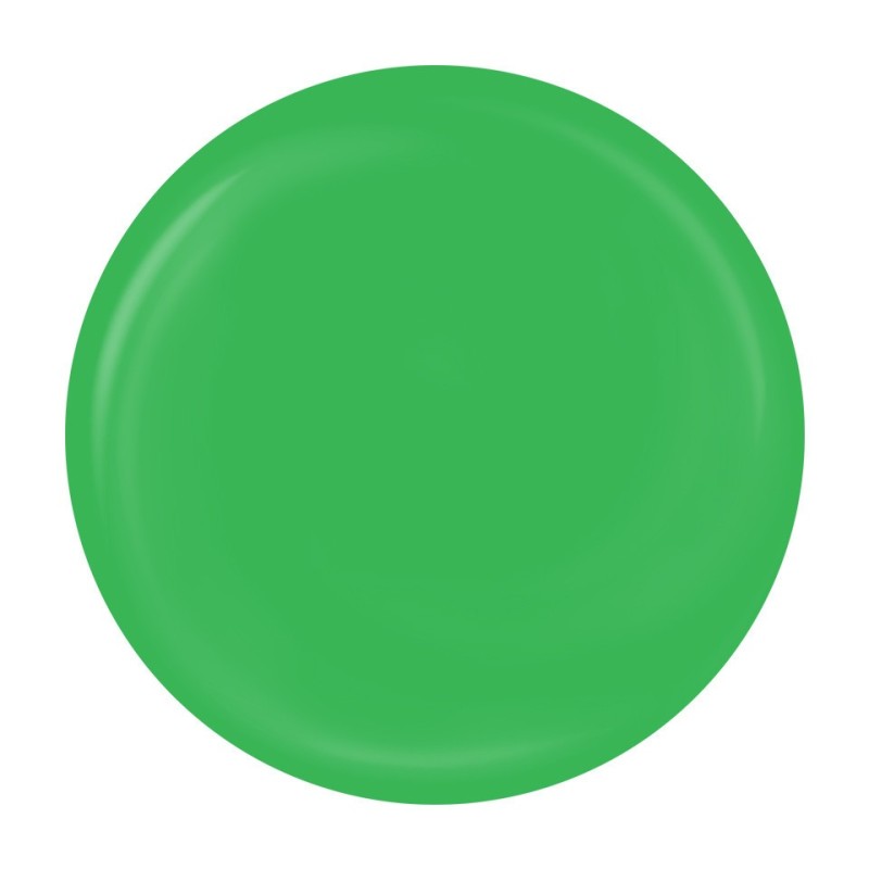Gel Pictura Unghii Luxorise Perfect Line, Neon Green, 5 ml