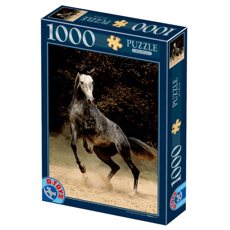 Puzzle 1000 Piese D-Toys, Cal Sur