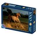 Puzzle 1000 Piese D-Toys, Cal Murg