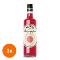 Set 3 x Sirop Grapefruit Roz Premium Bar Mixer, 1 l