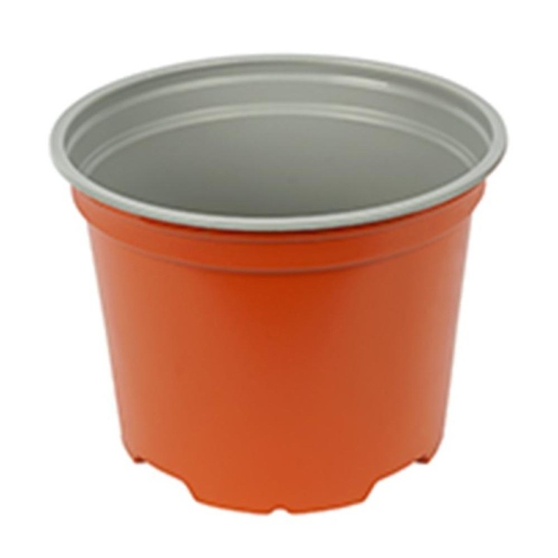 Ghivece Productie Sectiune...