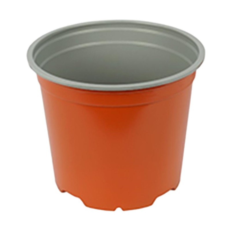 Ghivece Productie Sectiune...