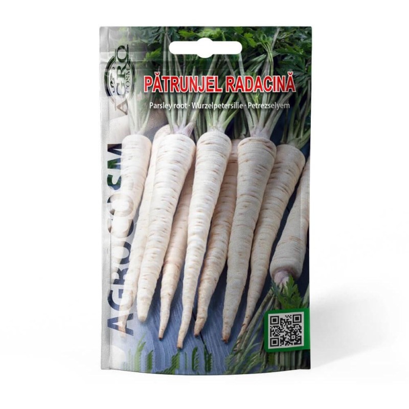 Seminte Patrunjel Radacina...