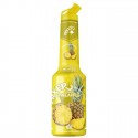 Pulpa Ananas 100% Concentrat Piure Fructe Mixer 1 l
