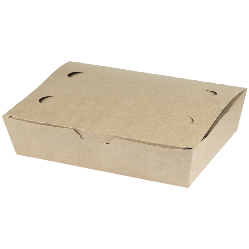 Cutii Biodegradabile de Carton, Kraft, 20x10x5 cm, 1000 ml, 100 bucati