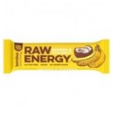 Baton Proteic Raw Energy cu Banane si Nuca de Cocos, 50g Bombus