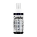 Spray Nuantator Cameleo Delia Spray & Go Silver, Argintiu, 150 ml
