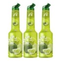 Set 3 x Pulpa Lamaie Verde 100% Concentrat Piure Fructe Mixer, 1 l