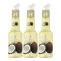 Set Pulpa Cocos 100% Concentrat Piure Fructe Mixer, 3 Bucati x 1 l