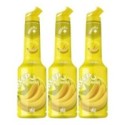 Set 3 x Pulpa Banana 100% Concentrat Piure Fructe Mixer, 1 l