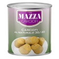 Anghinare Intreaga, Mazza, 2600 g