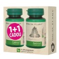 Antiviral, 60 Comprimate 1+1 Cadou, Dacia Plant