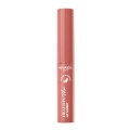 Balsam de Buze Colorat Bourjois Healthy Mix Lip Sorbet 06 Peanude Butter, 1.7 g