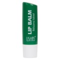 Balsam de Buze Ushas Lip Balm Natural Care, 02