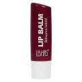Balsam de Buze Ushas Lip Balm Natural Care, 04