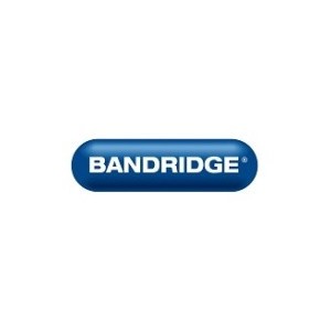 Bandridge