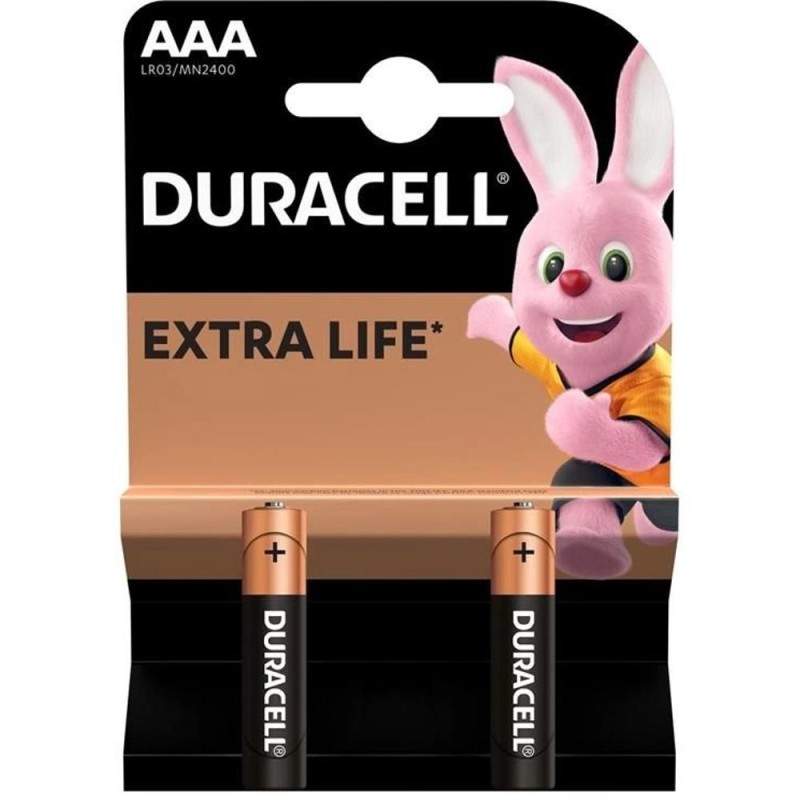 Baterie Alcalina Duracell Basic R3 (AAA), 2 Bucati, Blister