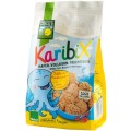 Biscuiti BIO Karibix din Faina Integrala de Ovaz Indulciti cu Fructe, 125 g, Bohlsener Muhle