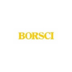 Borsci
