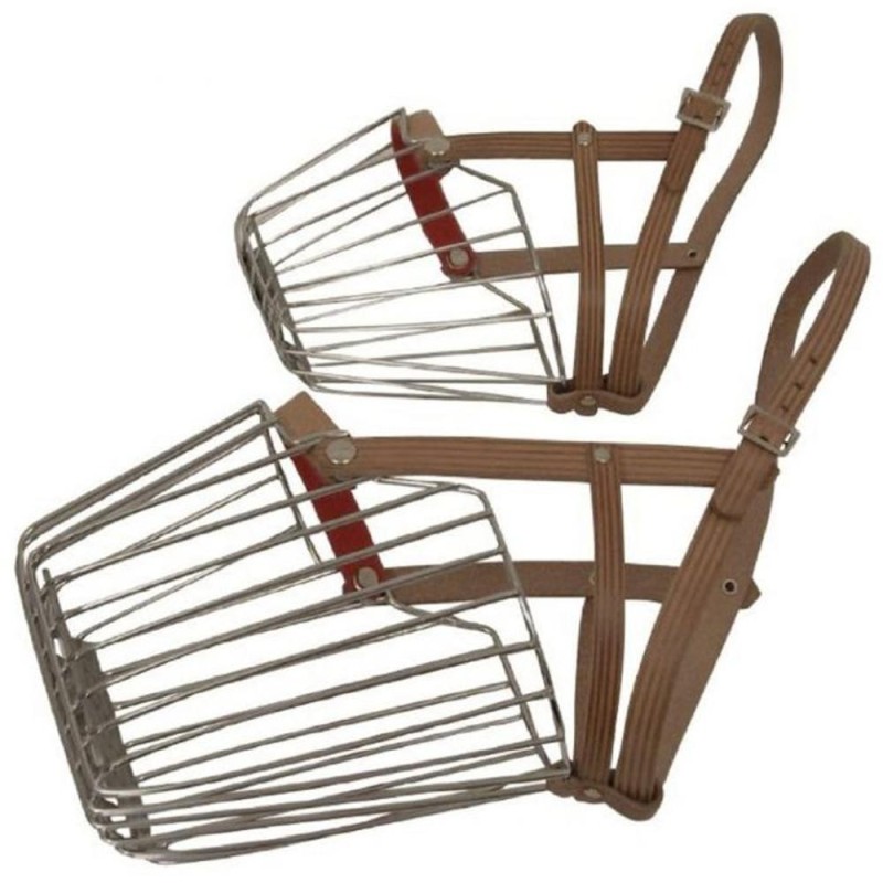 Botnita Caine, Marimea 8, Curea din Piele, Metalica