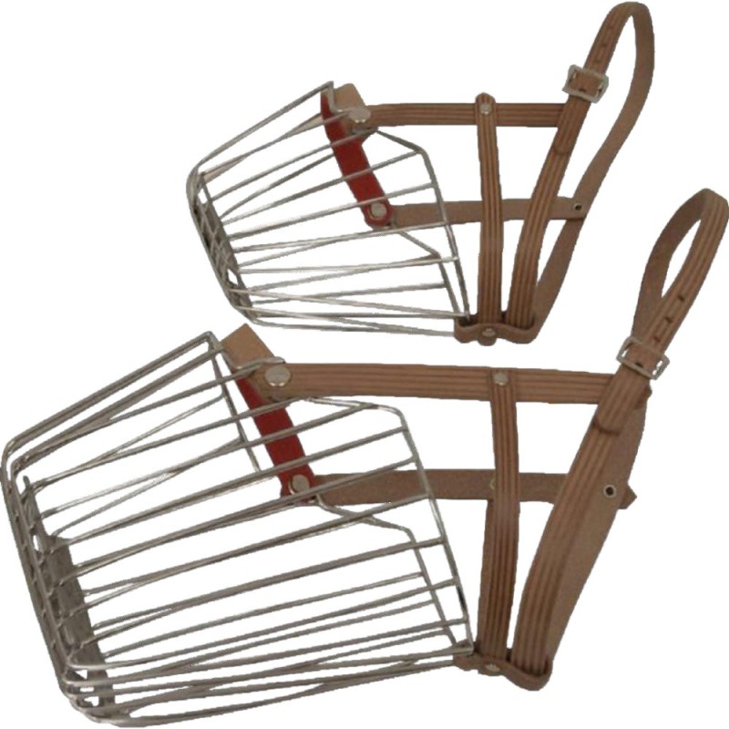 Botnita Caini, Marimea 6, Curea din Piele, Metalica